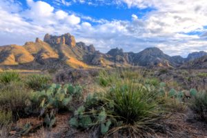 mountains, Rocks, Cacti, Landscape