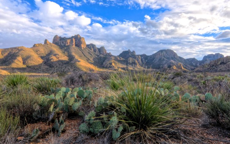mountains, Rocks, Cacti, Landscape HD Wallpaper Desktop Background