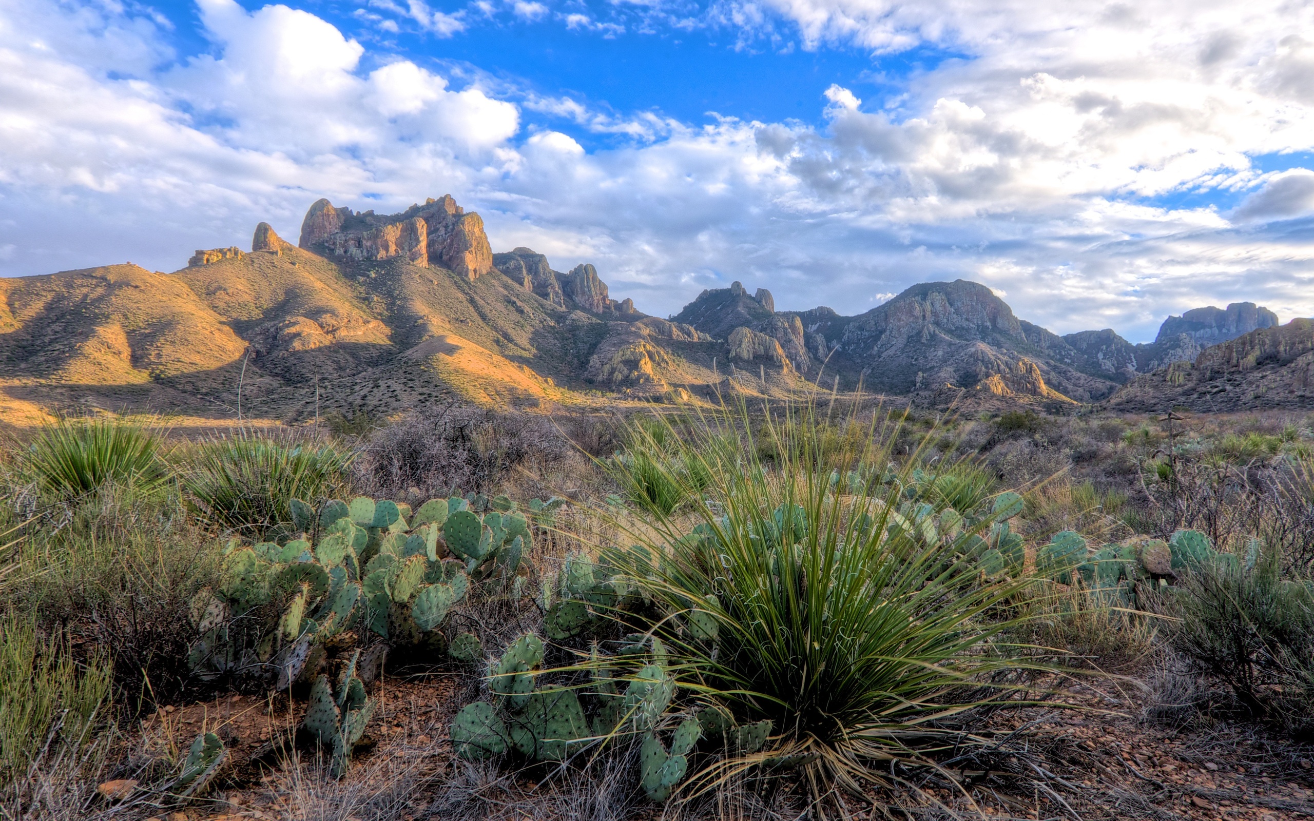 mountains, Rocks, Cacti, Landscape Wallpaper