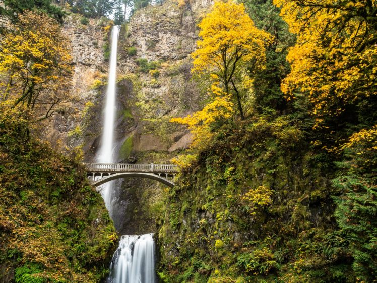 multnomah, Falls, Columbia, River, Gorge, Oregon, Waterfall, Autumn HD Wallpaper Desktop Background