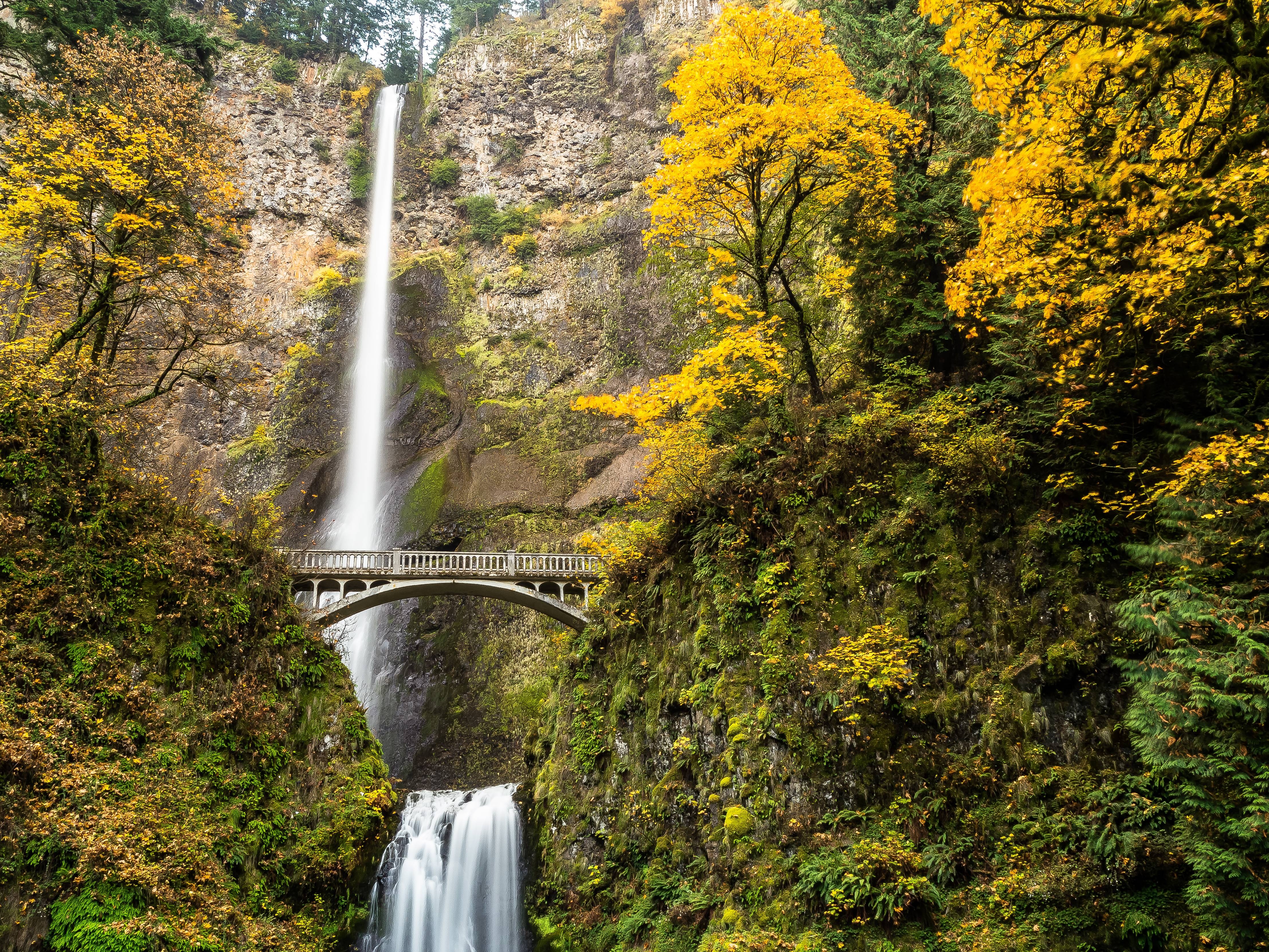 multnomah, Falls, Columbia, River, Gorge, Oregon, Waterfall, Autumn Wallpaper