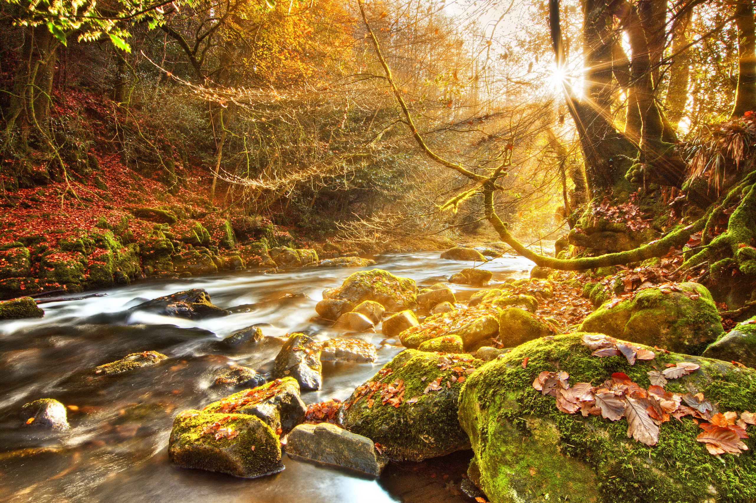 seasons, Autumn, Stones, River, Rays, Of, Light, Moss, Nature Wallpaper