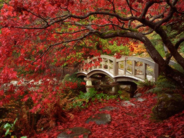 japanese, Garden, Royal, Roads, University, British, Columbia, Autumn HD Wallpaper Desktop Background