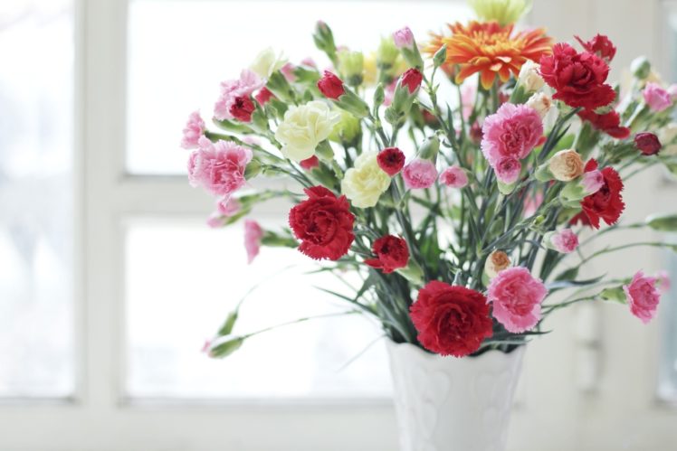 flowers, Different, Vase, Carnation HD Wallpaper Desktop Background