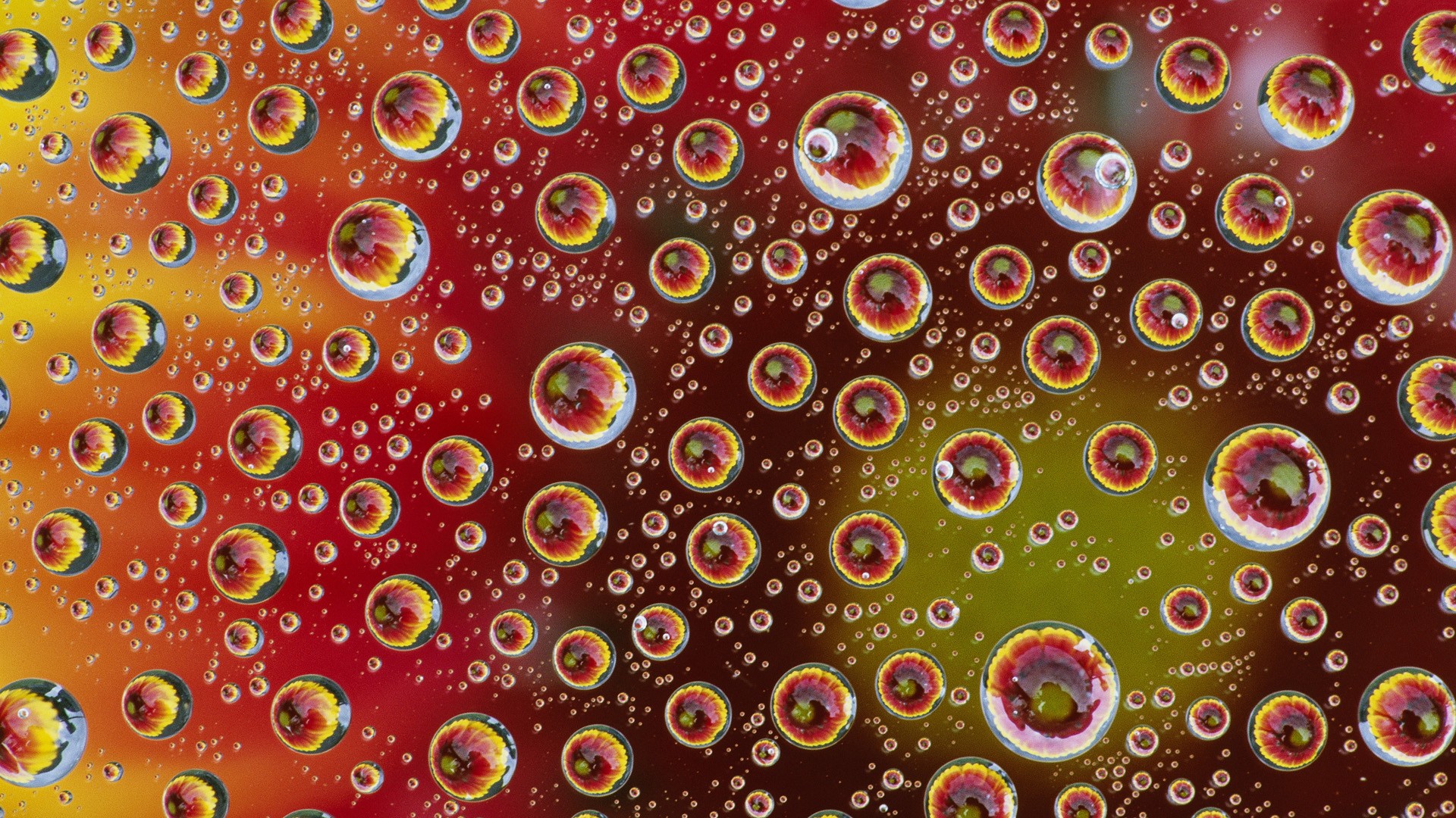water, Drops Wallpaper