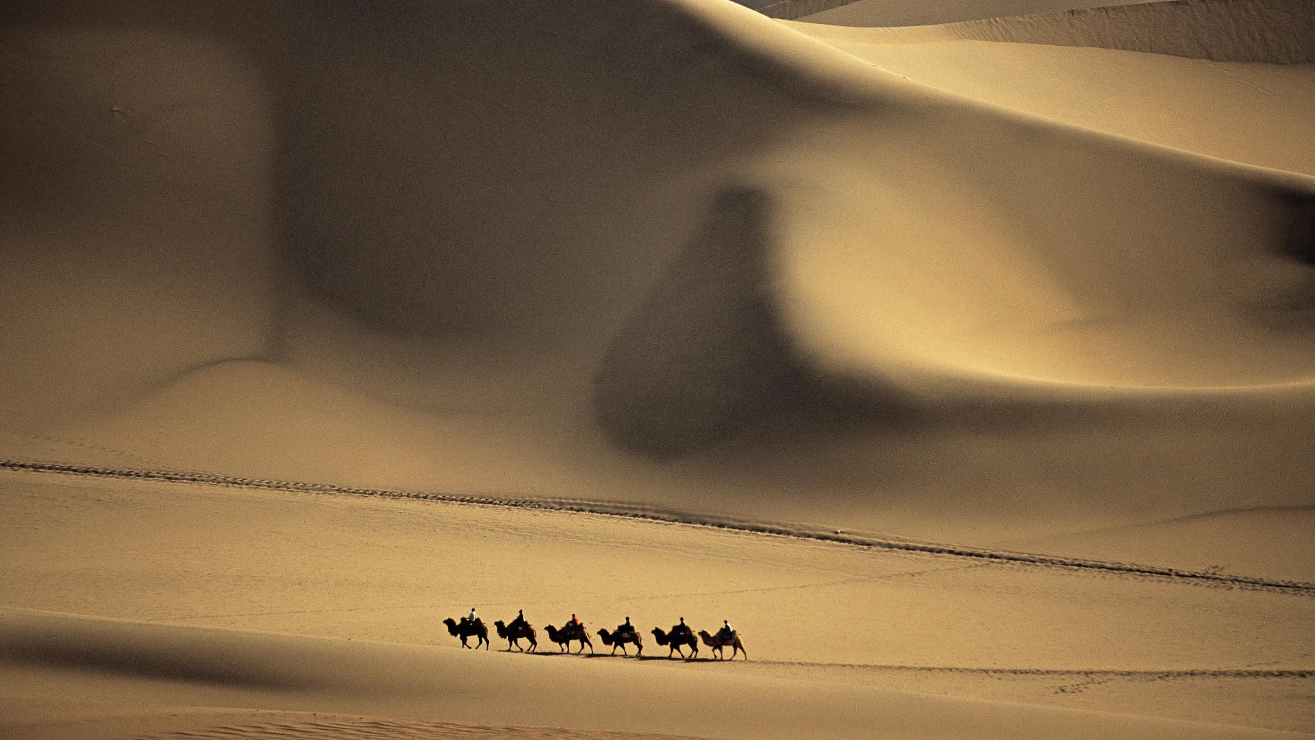 nature, Sand, Deserts, Camels, Dunes Wallpaper