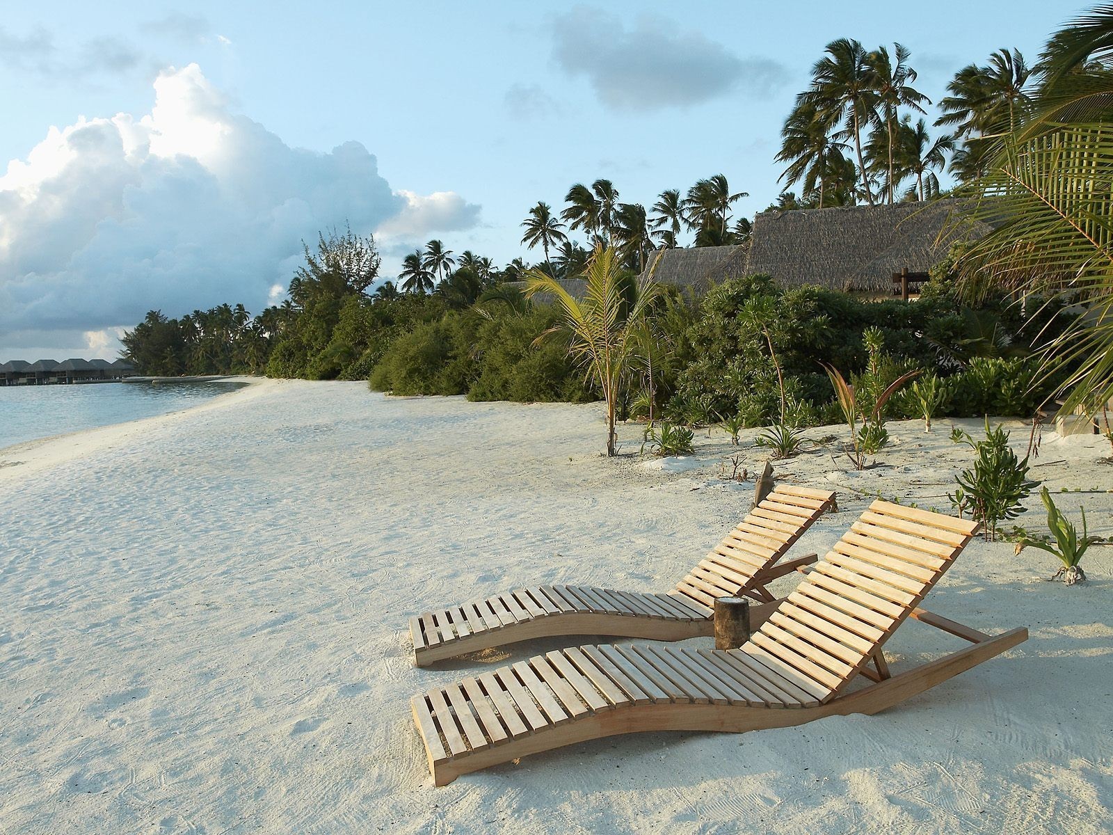 nature Wallpaper