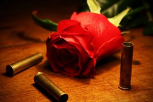 nature, Flowers, Roe, Bullets, Red, Rose