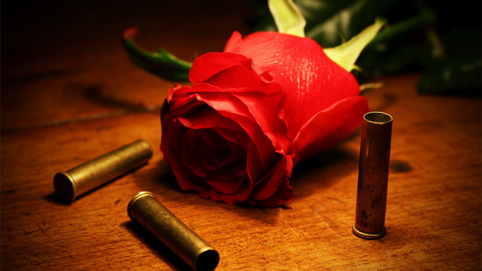 nature, Flowers, Roe, Bullets, Red, Rose Wallpaper