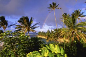 hawaii, Kauai, Parks, Beaches