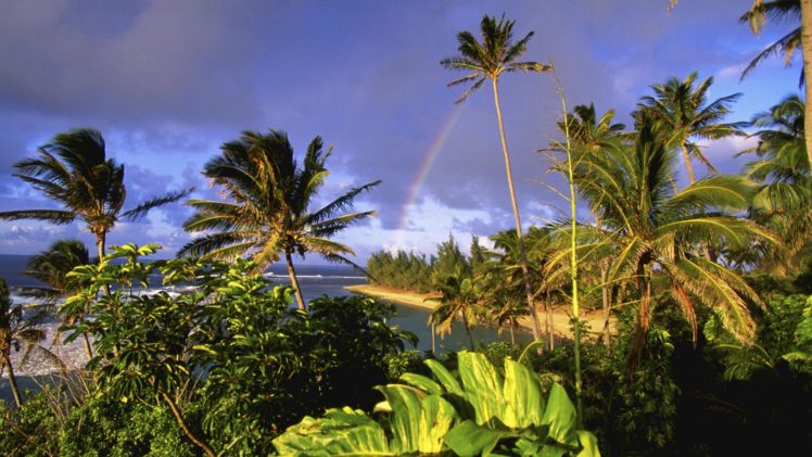 hawaii, Kauai, Parks, Beaches HD Wallpaper Desktop Background