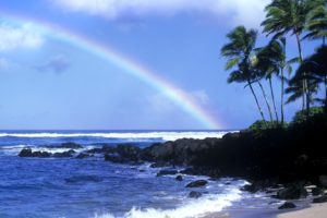 water, Coast, Rainbows, Palm, Trees