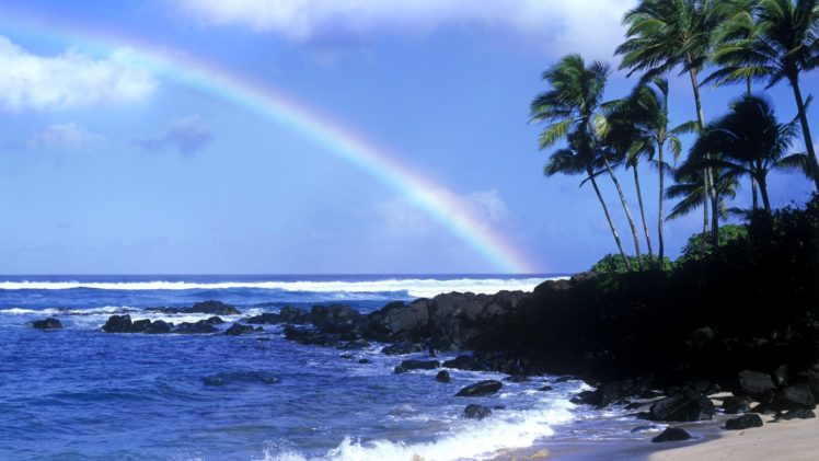 water, Coast, Rainbows, Palm, Trees HD Wallpaper Desktop Background