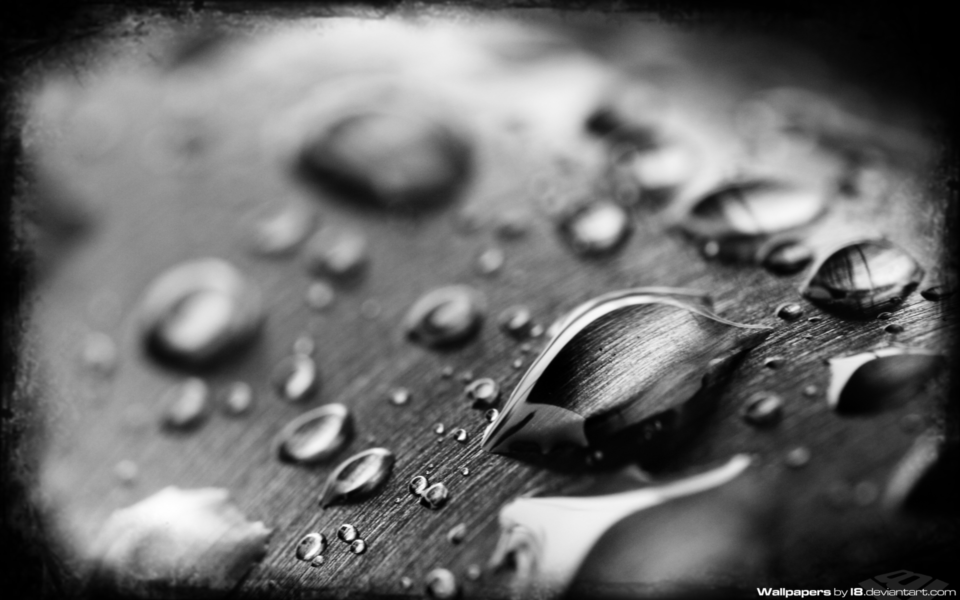 water, Wet, Liquid, Water, Drops, Condensation, Drops Wallpaper