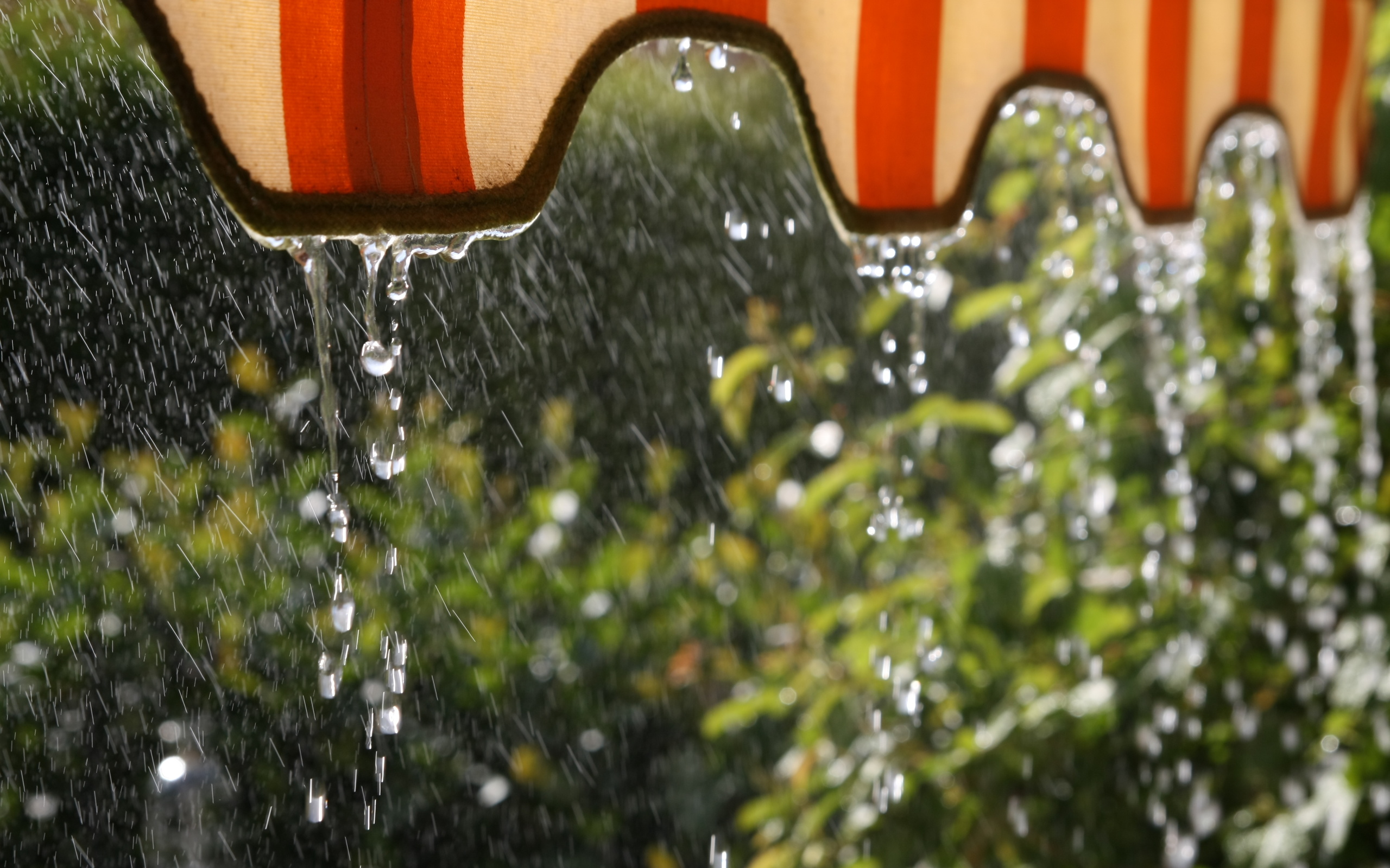water, Rain Wallpaper