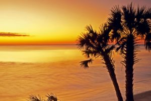 sunrise, Silhouettes, Islands, Parks, South, Carolina, Sea