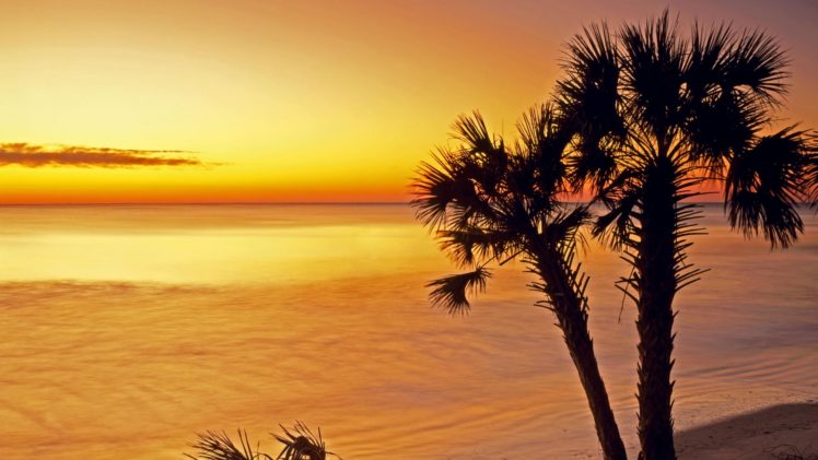 sunrise, Silhouettes, Islands, Parks, South, Carolina, Sea HD Wallpaper Desktop Background