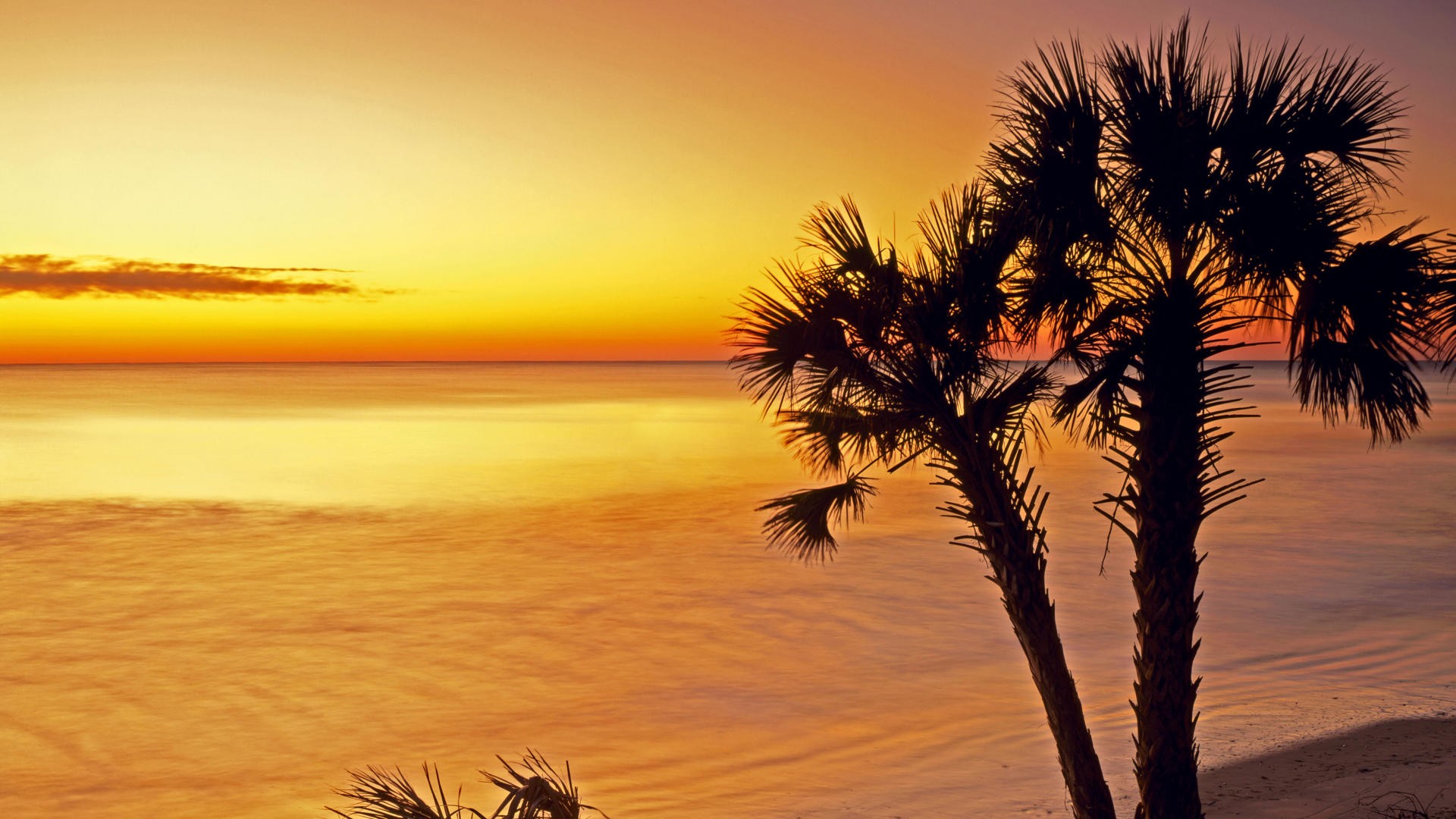 sunrise, Silhouettes, Islands, Parks, South, Carolina, Sea Wallpaper