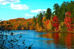 water, Clouds, Autumn,  season , Multicolor, Forest, Rivers, Reflections