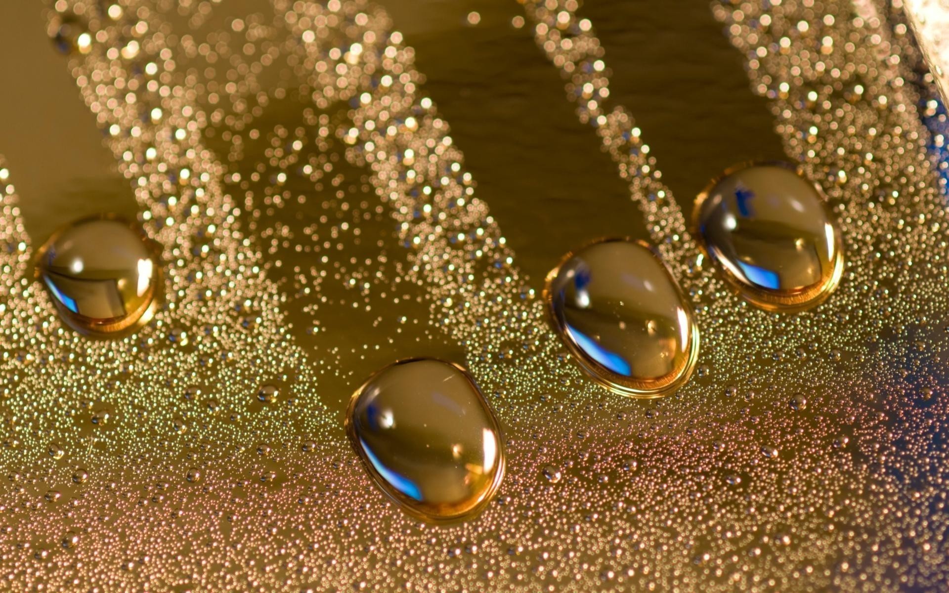 water, Drops, Macro, Condensation Wallpaper