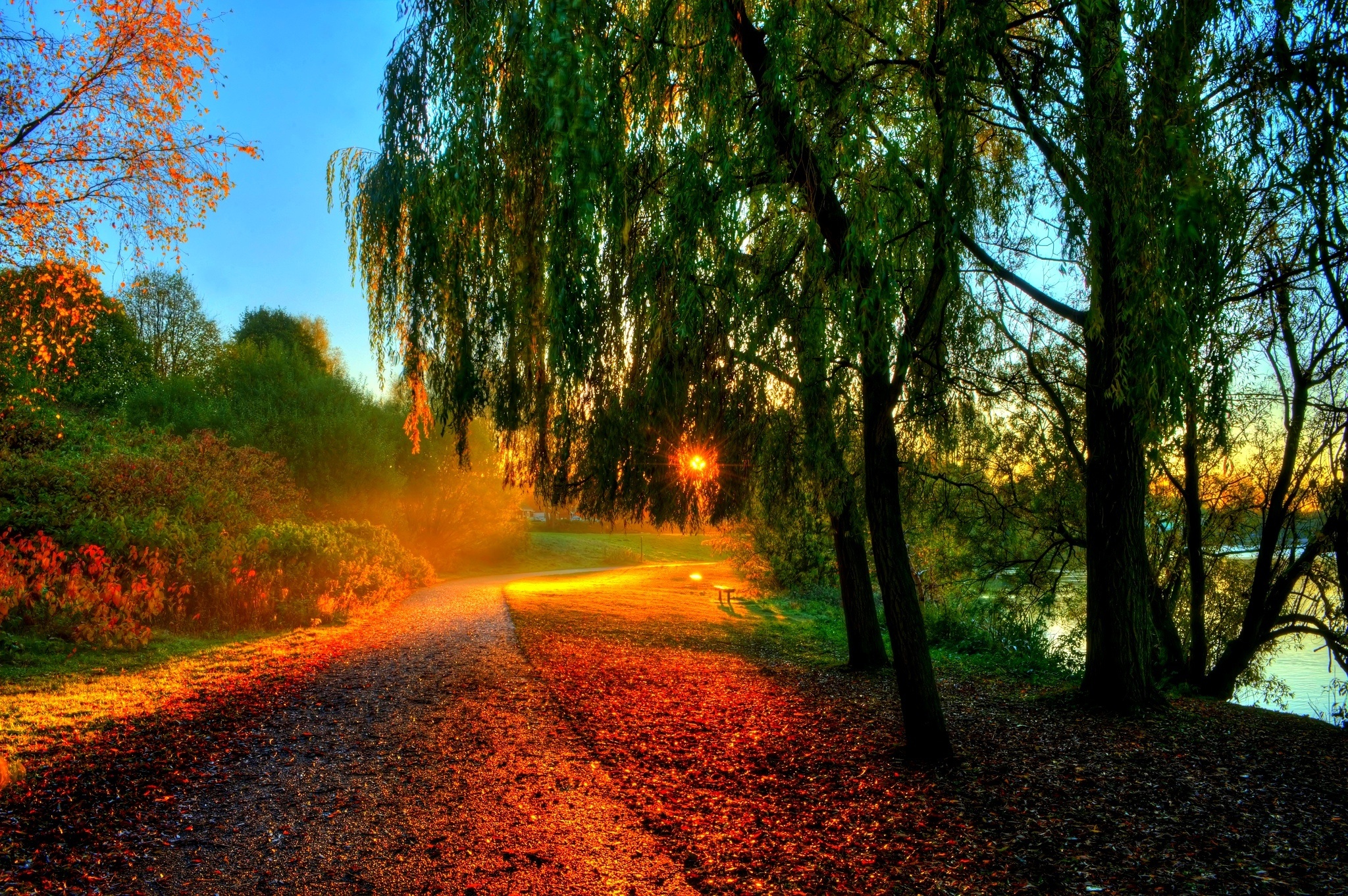 rays, Bench, Forest, Trees, Autumn, Leaves, Hdr, Walk, Sun, Sunset, Hdr Wallpaper
