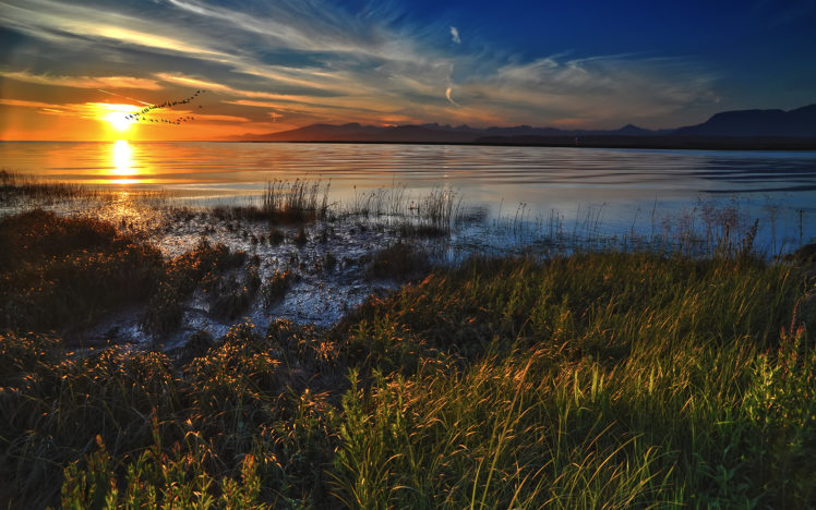 sunset, Ocean, Landscapes, Nature, Grass, Deviantart, Skyscapes HD Wallpaper Desktop Background