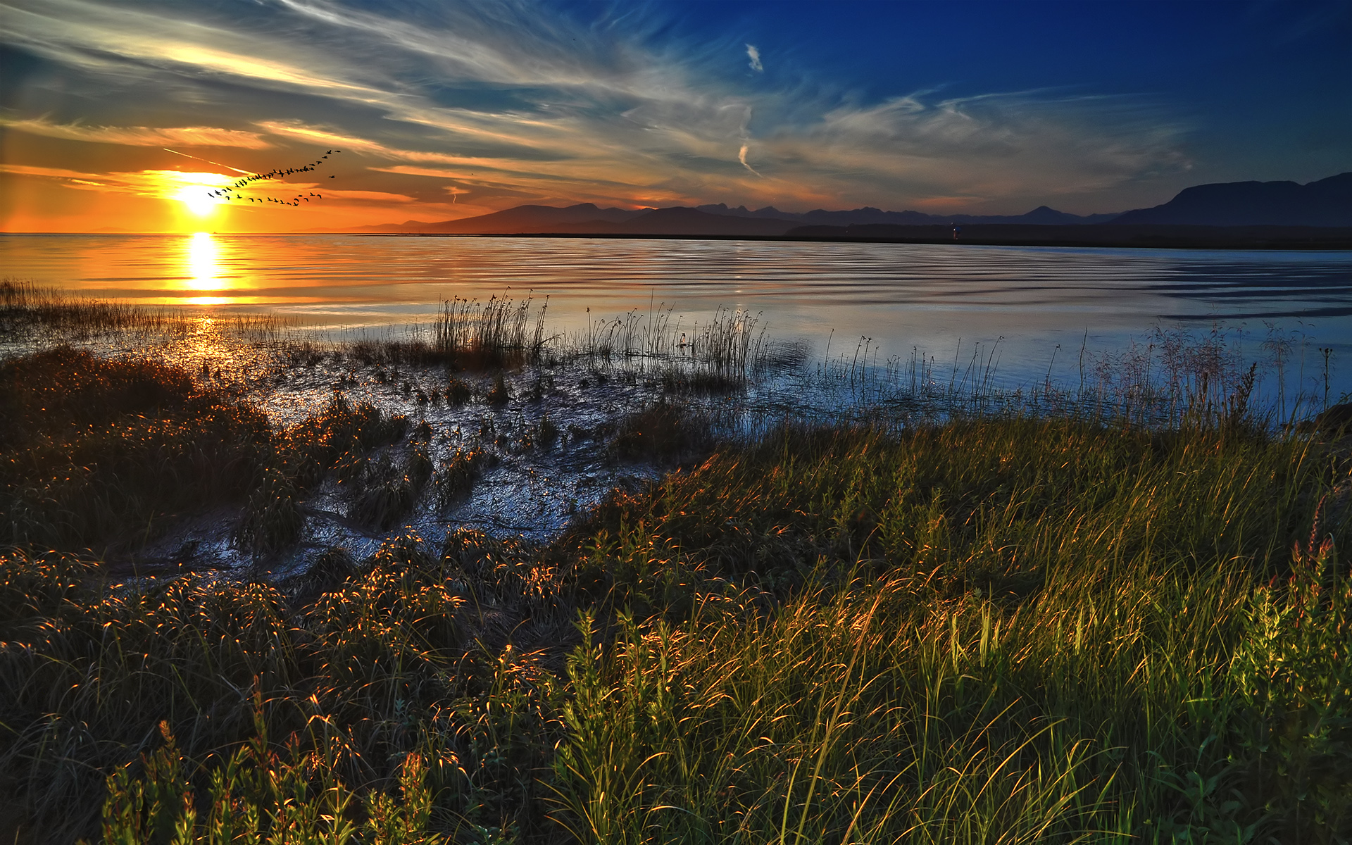 sunset, Ocean, Landscapes, Nature, Grass, Deviantart, Skyscapes Wallpaper