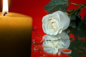 water, Flowers, Candles, Roses, White, Flowers