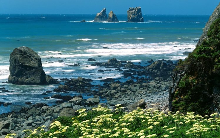 landscapes, Nature, Coast, California, National, Park HD Wallpaper Desktop Background