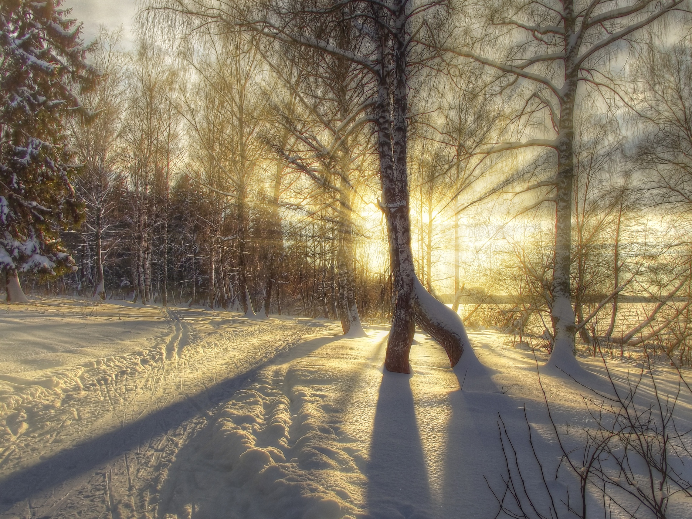 landscape, Nature, Winter, Road, Forest, Sun, Rays, Hdr, Snow, Sunrise, Sunset Wallpaper