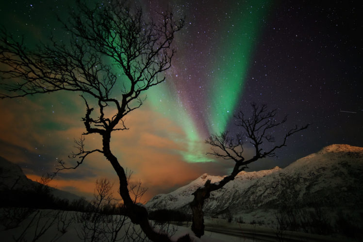 stars, Night, Mountains, Winter, Snow, Tree, Northern, Lights HD Wallpaper Desktop Background