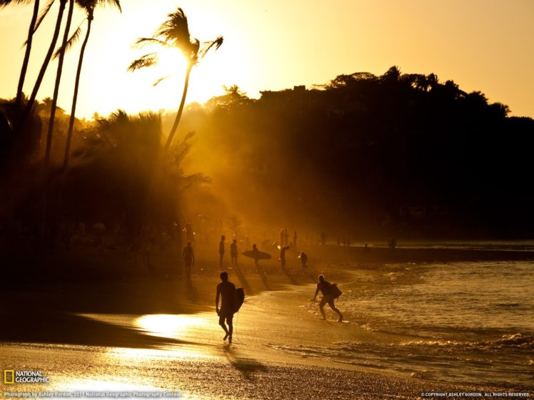 sunset, Silhouettes, Mexico, National, Geographic, Sunlight, Palm, Trees, Surfers, Beaches HD Wallpaper Desktop Background