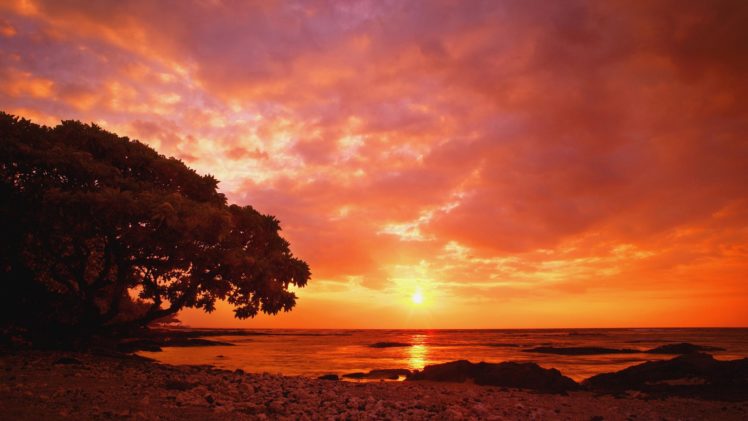 sunset, Shore, Seaside, Sea, Beaches HD Wallpaper Desktop Background