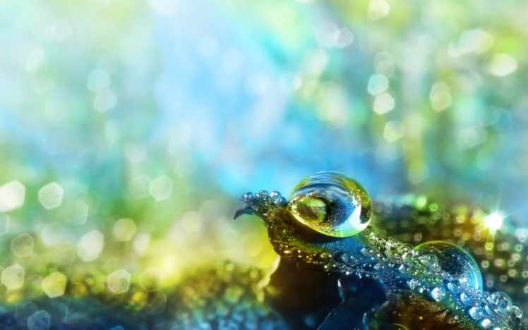 water, Drops, Macro HD Wallpaper Desktop Background