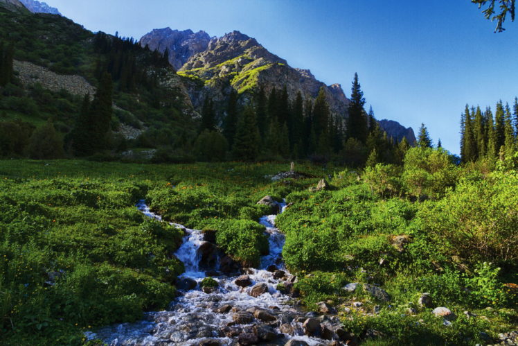 mountains, Scenery, Kyrgyzstan, Tian, Shan, Stream, Grass, Nature HD Wallpaper Desktop Background