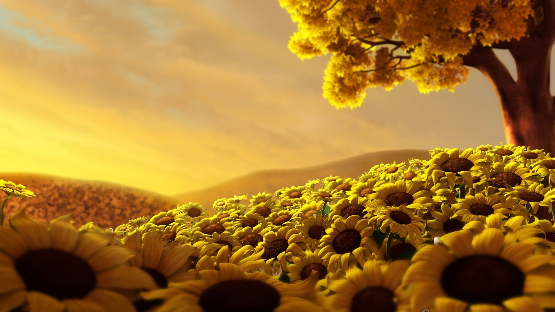 nature, Sun, Trees, Sunflowers Wallpaper