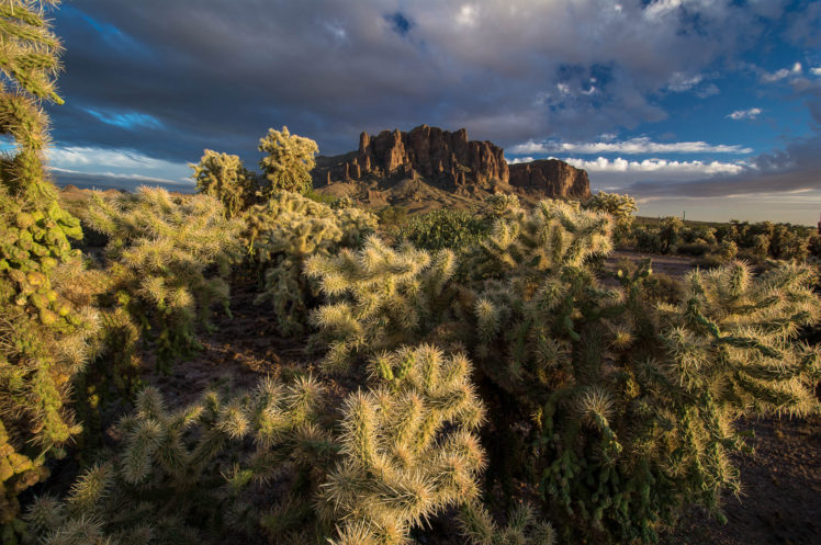 mountains, Cactus, Sky, Nature HD Wallpaper Desktop Background