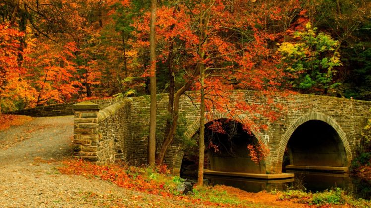 nature, Road, Leaves, Trees, Forest, Park, Bridge, Colorful, Path, Autumn HD Wallpaper Desktop Background