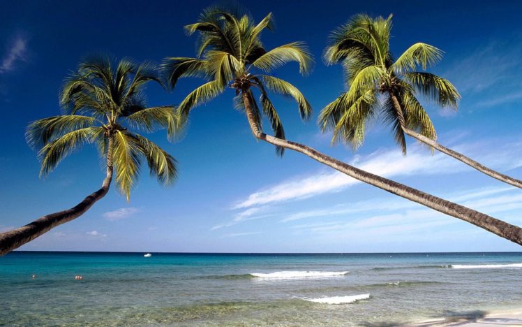 landscapes, Nature, Coast, West, Beaches HD Wallpaper Desktop Background