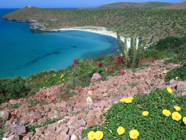 landscapes, Mexico, Beaches HD Wallpaper Desktop Background