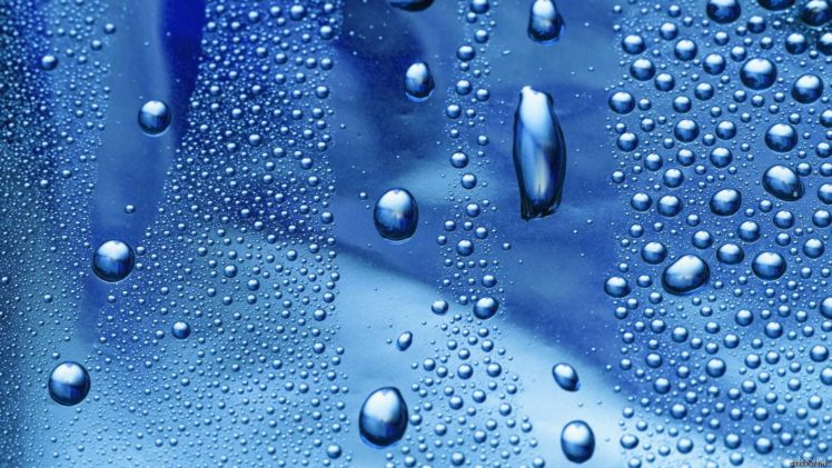rain, Water, Drops HD Wallpaper Desktop Background