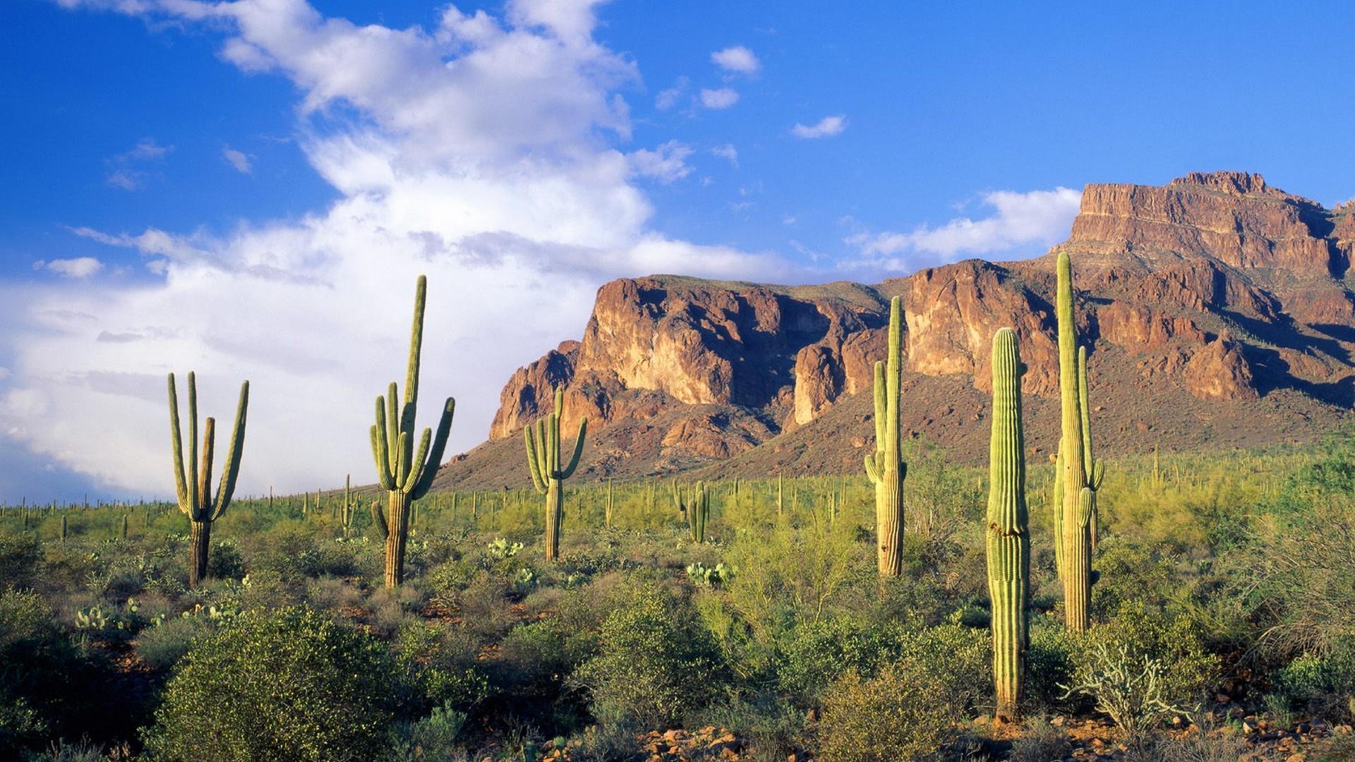mountains, Clouds, Landscapes, Forests, Arizona, National, Cactus, Tonto Wallpaper