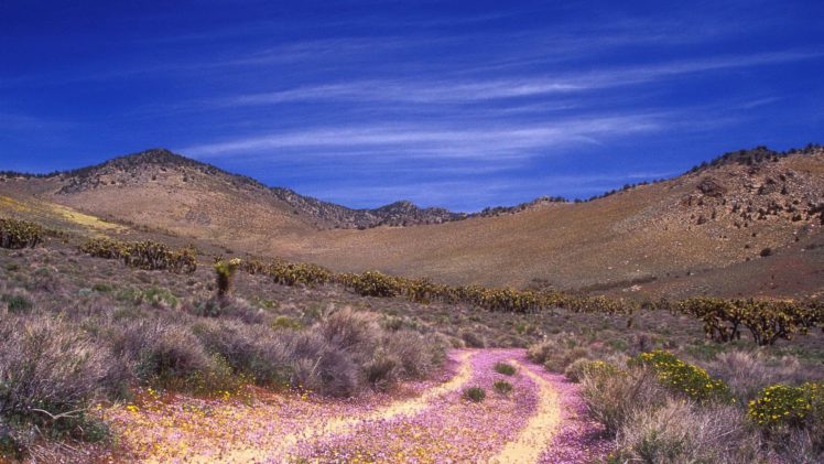 landscapes, Nature, Deserts HD Wallpaper Desktop Background