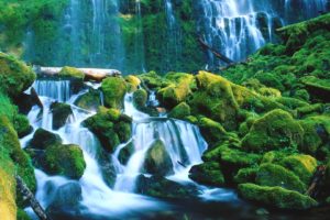 landscapes, Forests, Falls, National, Oregon, Waterfalls, Proxy