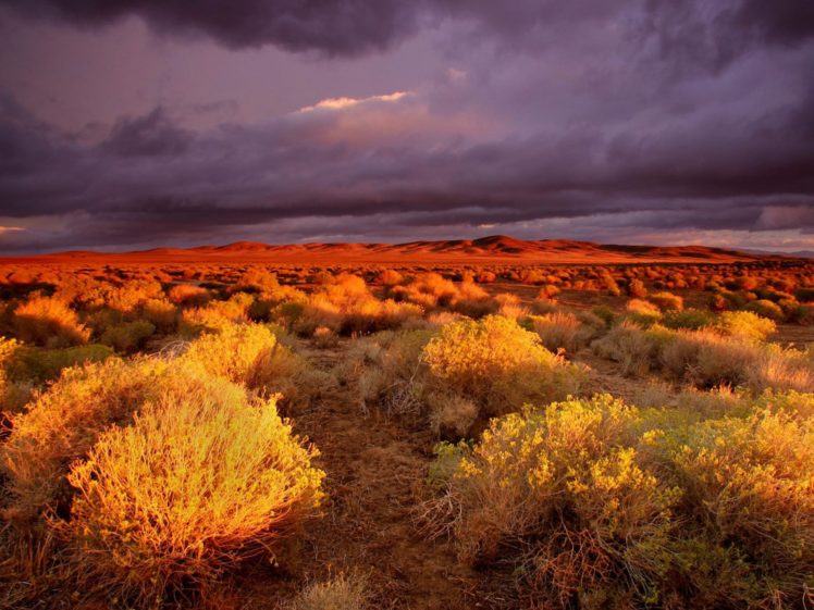clouds, Landscapes, Nature, Deserts HD Wallpaper Desktop Background