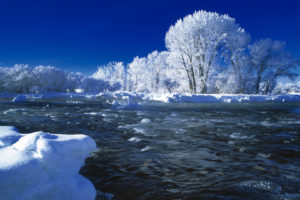nature, Winter, Trees, Snow, Seasonal, Rivers, Frost, Landscape