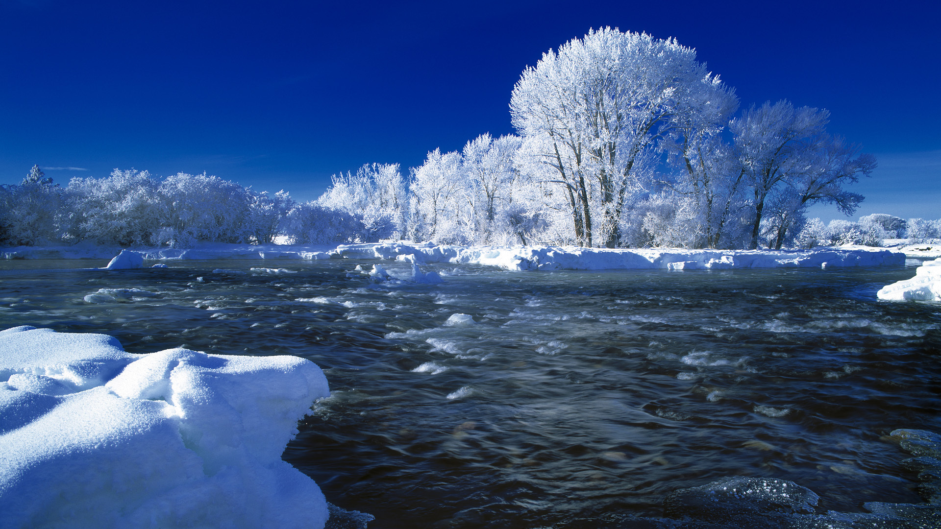 nature, Winter, Trees, Snow, Seasonal, Rivers, Frost, Landscape Wallpaper