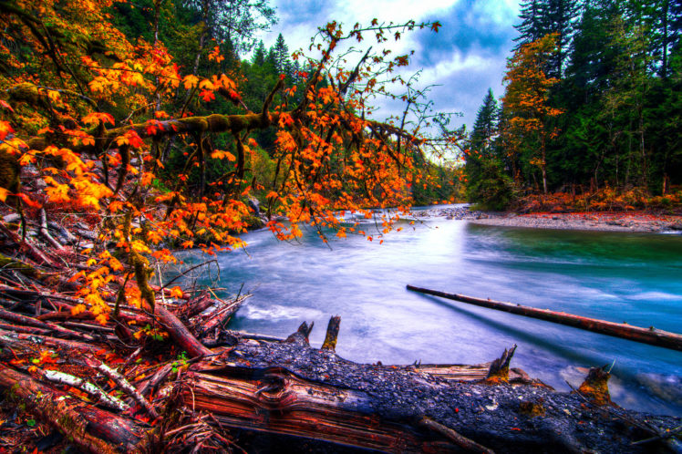 snoqualmie, River, Washington, River, Forest, Autumn, Landscape HD Wallpaper Desktop Background