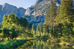 water, Mountains, Landscapes, Nature, Forests, Cliff, Pine, Trees