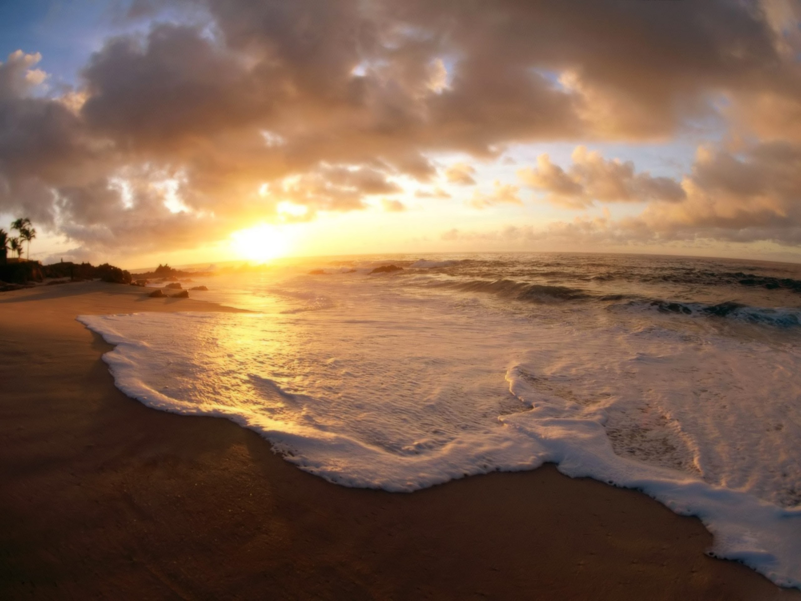 landscapes, Nature, Beaches Wallpaper